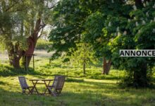 Sådan får du en lækker have 